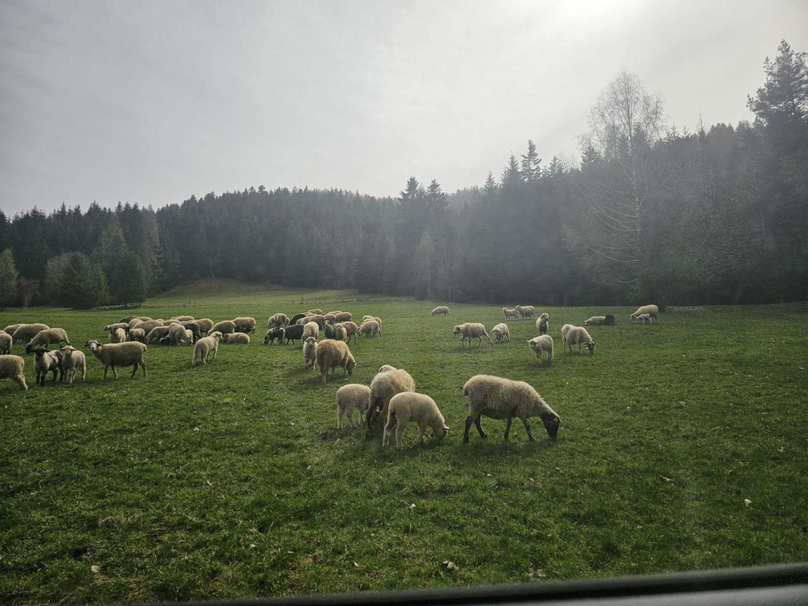 Vila Szlak By Trafil Poręba Wielka Exteriér fotografie
